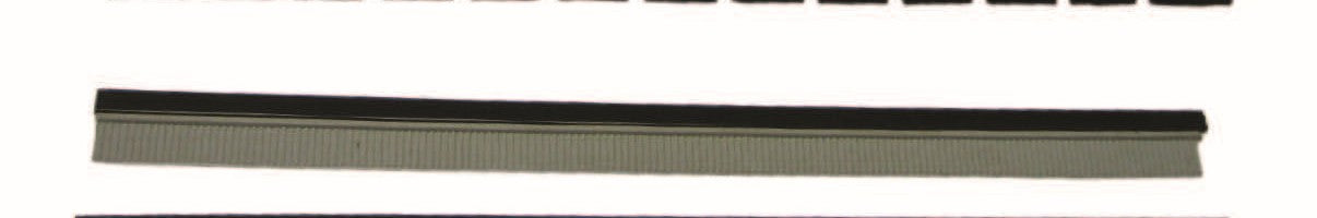 Squeegee Strip for FTEC pair