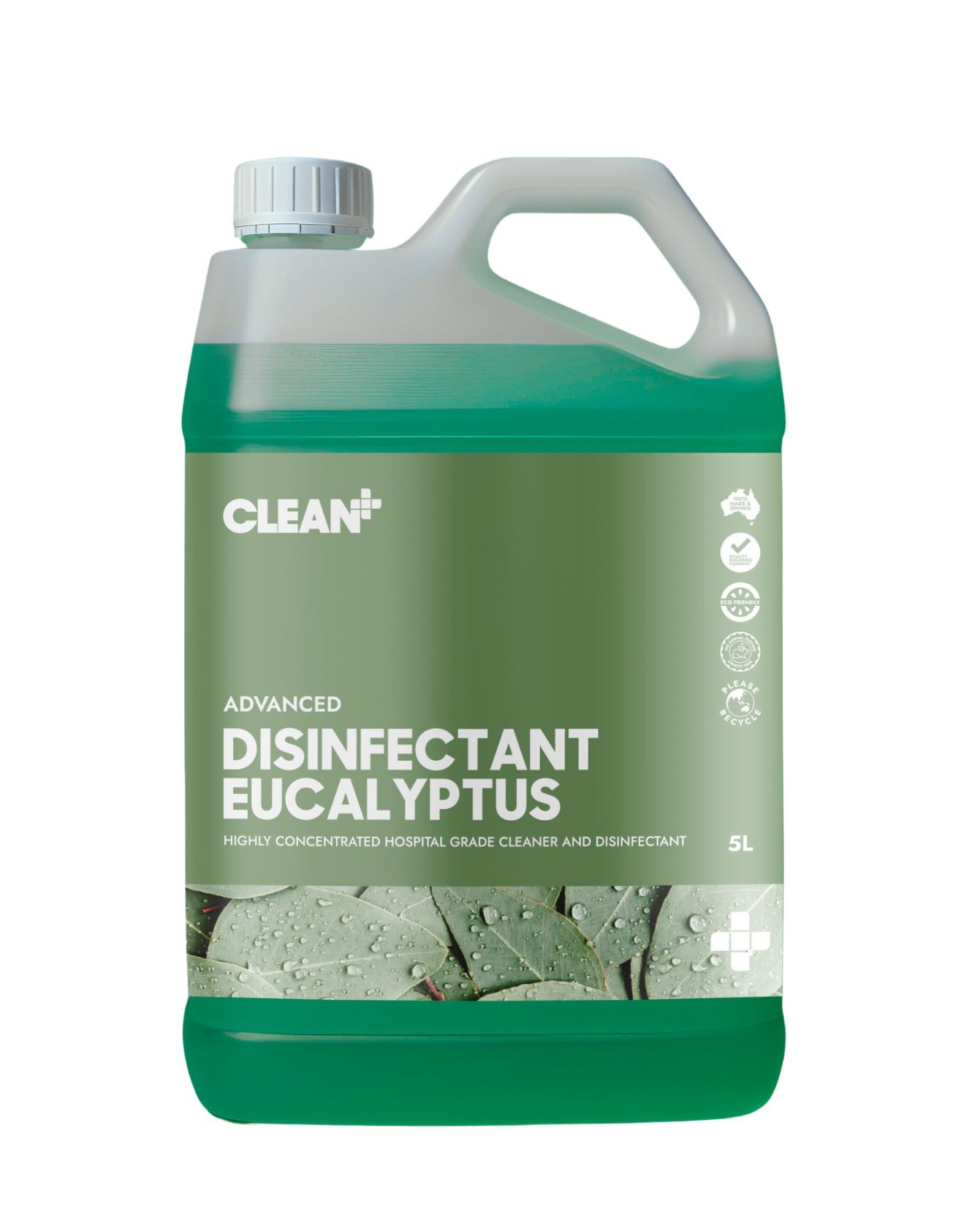 Disinfectant Eucalyptus 5 L