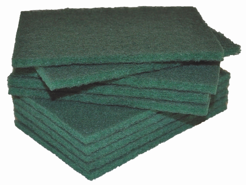 Standard Industrial Scourer 15X10Cm (10PK)